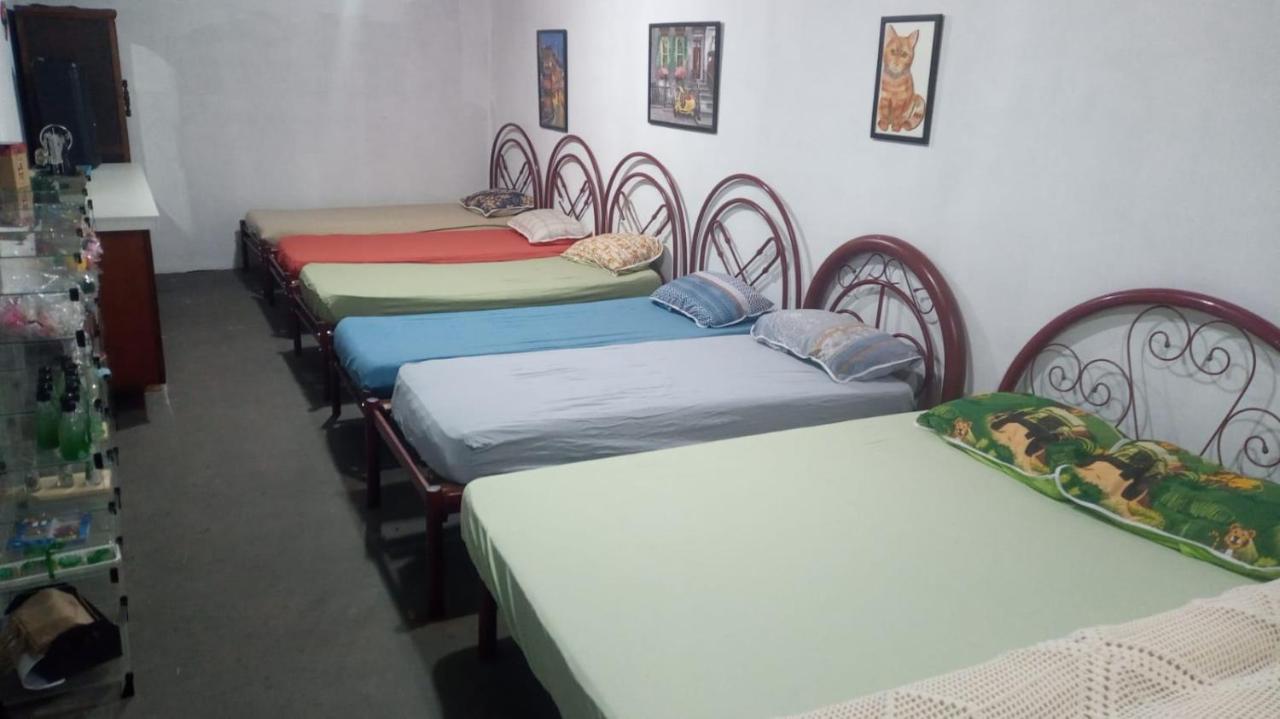 Hostel Santuario De Protecao Animal Filhos De Salomao Braganca Paulista Exterior photo